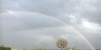 Lattiero Caseario: Zangolato in contrazione