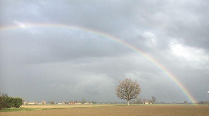 Lattiero Caseario: Zangolato in contrazione