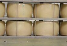 Lattiero Caseario: Stabili i formaggi, in risalita il latte spot