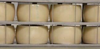 Lattiero Caseario: Burro e latte in forte ascesa