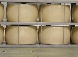 Lattiero Caseario: Stabili i formaggi, in risalita il latte spot