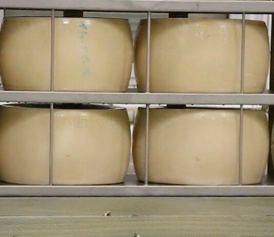 Lattiero Caseario: Burro e latte in forte ascesa