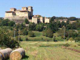 Cereali e dintorni. Mercati e ridimensionamento al termine