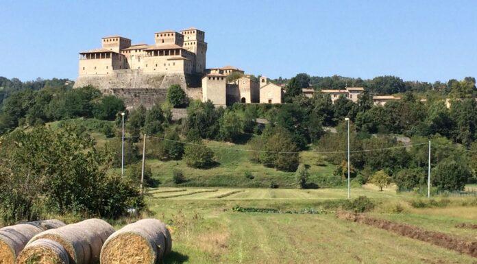 Cereali e dintorni. Mercati e ridimensionamento al termine