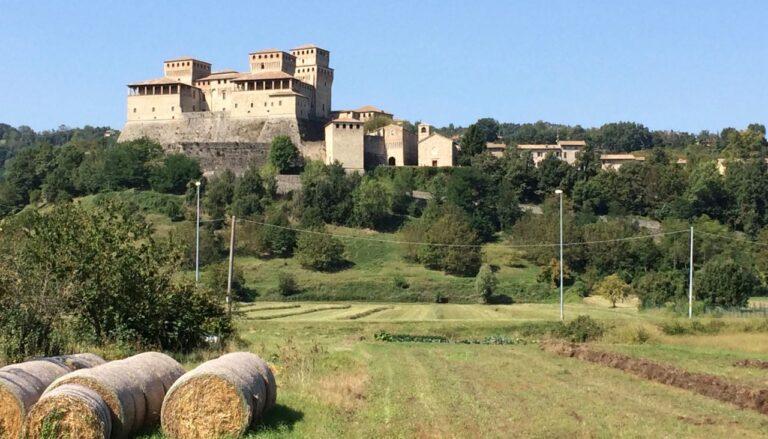Cereali e dintorni. Mercati e ridimensionamento al termine
