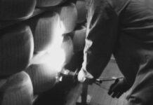 Lattiero Caseario: Relativa stabilità