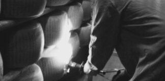 Lattiero Caseario: Relativa stabilità