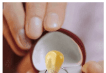 Cereali e dintorni. Considerazioni generali