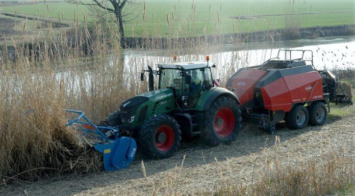 Per le colture energetiche. La trincia WS-BIO anche per colture che necessitano di andanatura