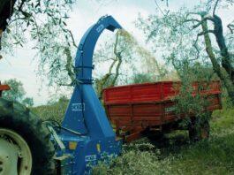 Da Nobili la trincia capace di indirizzare i trinciati alla base della pianta (Video)