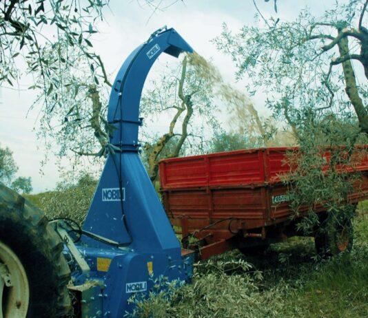Da Nobili la trincia capace di indirizzare i trinciati alla base della pianta (Video)
