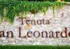 Dove ci porta la degustazione – Tenuta San Leonardo