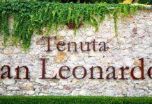 Dove ci porta la degustazione – Tenuta San Leonardo