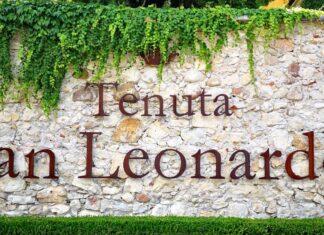 Dove ci porta la degustazione – Tenuta San Leonardo