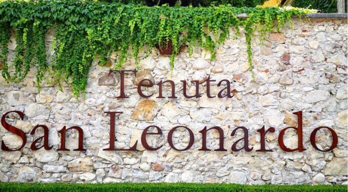 Dove ci porta la degustazione – Tenuta San Leonardo