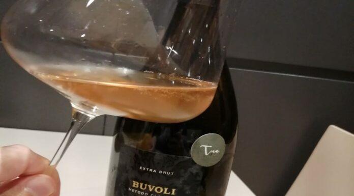 DOVE CI PORTA LA DEGUSTAZIONE – IL PINOT NERO di MARCO BUVOLI