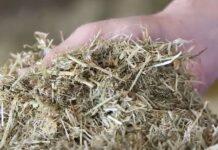 Al via un importante progetto europeo per la valorizzazione dei foraggi essiccati e disidratati