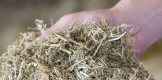 Al via un importante progetto europeo per la valorizzazione dei foraggi essiccati e disidratati