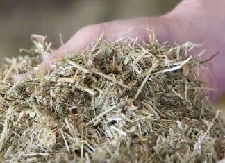 Lattiero Caseario: Stabili i formaggi, in risalita i il latte.