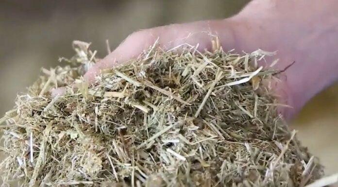 Lattiero Caseario: Stabili i formaggi, in risalita i il latte.