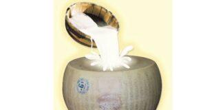 Lattiero Caseario: “Continua la salita del Padano e del Parmigiano”