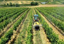 I turbo atomizzatori Nobili ANTIS T: portati o trainati