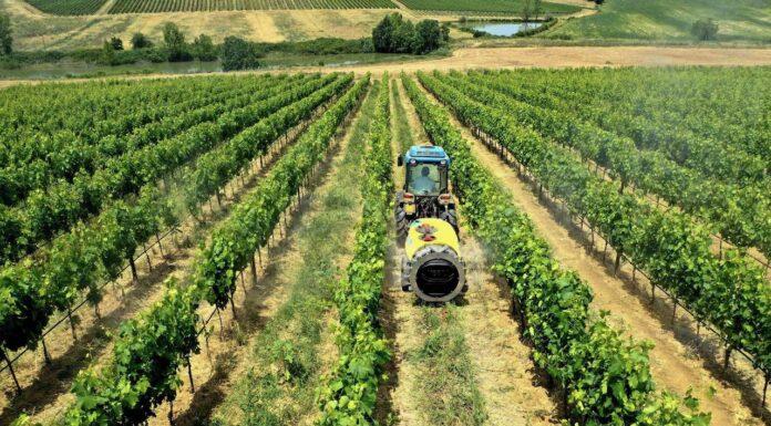 I turbo atomizzatori Nobili ANTIS T: portati o trainati