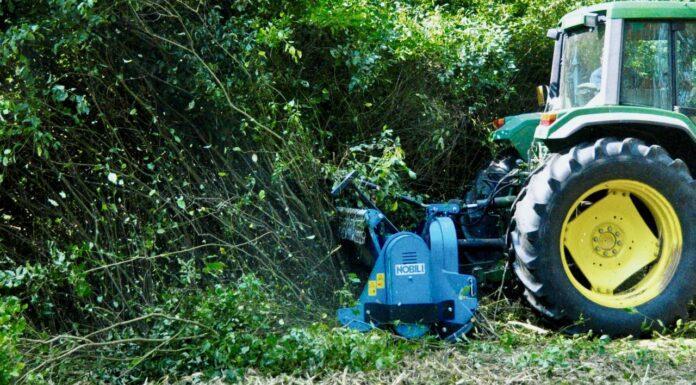 Agricoltura, FEDERACMA: ringraziamo Governo per proroga consegna beni innovativi 4.0