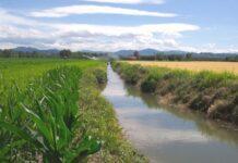 Agricoltura. In arrivo 400 milioni di euro per il 2021-2022
