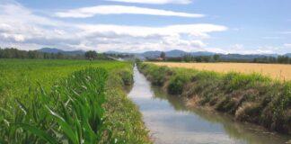 Agricoltura. In arrivo 400 milioni di euro per il 2021-2022