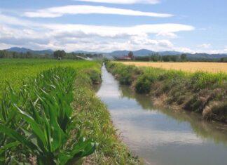 Agricoltura. In arrivo 400 milioni di euro per il 2021-2022