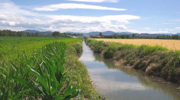 Agricoltura. In arrivo 400 milioni di euro per il 2021-2022