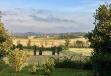 Cereali e dintorni. Mercati tellurici.