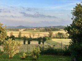 Cereali e dintorni. Mercati tellurici.