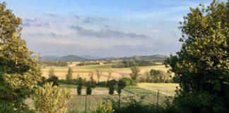 Cereali e dintorni. Mercati tellurici.