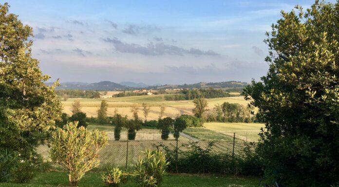 Cereali e dintorni. Mercati tellurici.