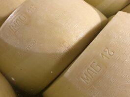 Beta caseina A2A2. Dall’iniziativa privata lo spunto per una ricerca valida per tutto il comparto del “Parmigiano”.