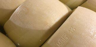 Beta caseina A2A2. Dall’iniziativa privata lo spunto per una ricerca valida per tutto il comparto del “Parmigiano”.