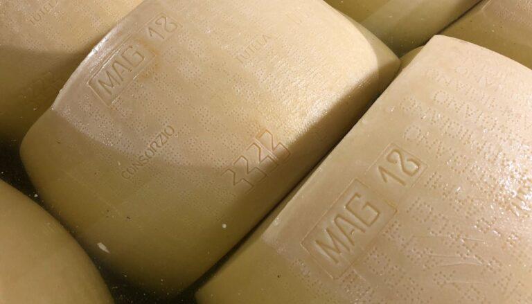 Beta caseina A2A2. Dall’iniziativa privata lo spunto per una ricerca valida per tutto il comparto del “Parmigiano”.