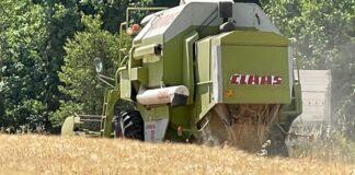 Cereali e dintorni. Mercato manovrato da fonti esterne?