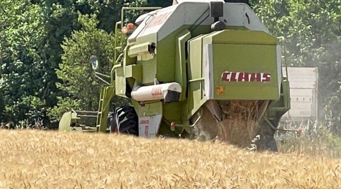 Cereali e dintorni. Mercato manovrato da fonti esterne?