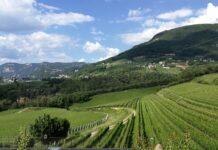 Le Giornate Del Pinot Nero