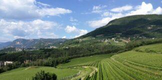 Le Giornate Del Pinot Nero