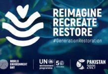La Giornata dell’Ambiente apre il decennio dell’Ecosystem Restoration