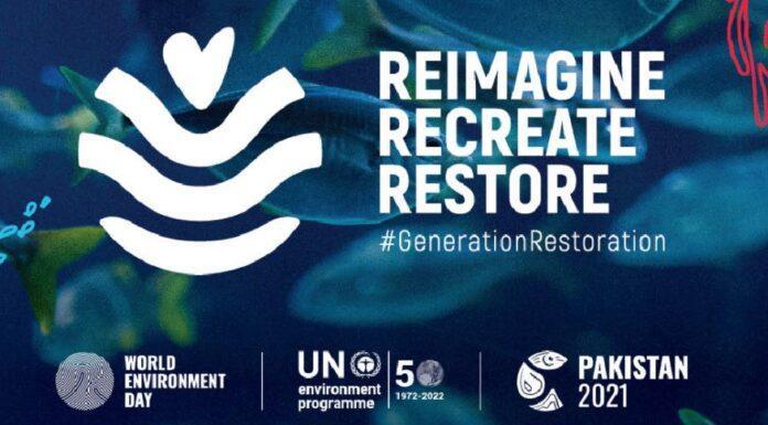 La Giornata dell’Ambiente apre il decennio dell’Ecosystem Restoration