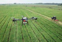 Agricoltura, Manca (M5S): ulteriori fondi per uso tecnologie innovative come droni e blockchain