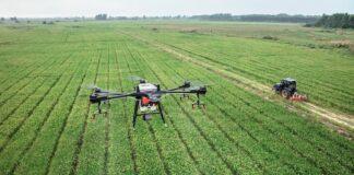 Cereali e dintorni. Banche USA e Svizzere alterano i mercati