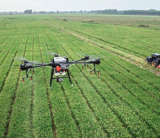 Agricoltura, Manca (M5S): ulteriori fondi per uso tecnologie innovative come droni e blockchain