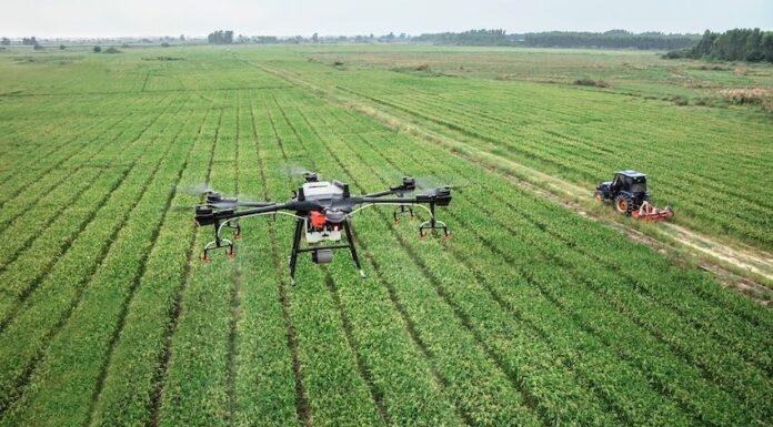 Cereali e dintorni. Banche USA e Svizzere alterano i mercati