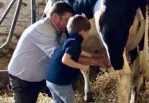 Lattiero Caseario: Listini stazionari per i formaggi.